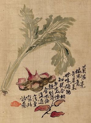 菜蔬图 .jpg