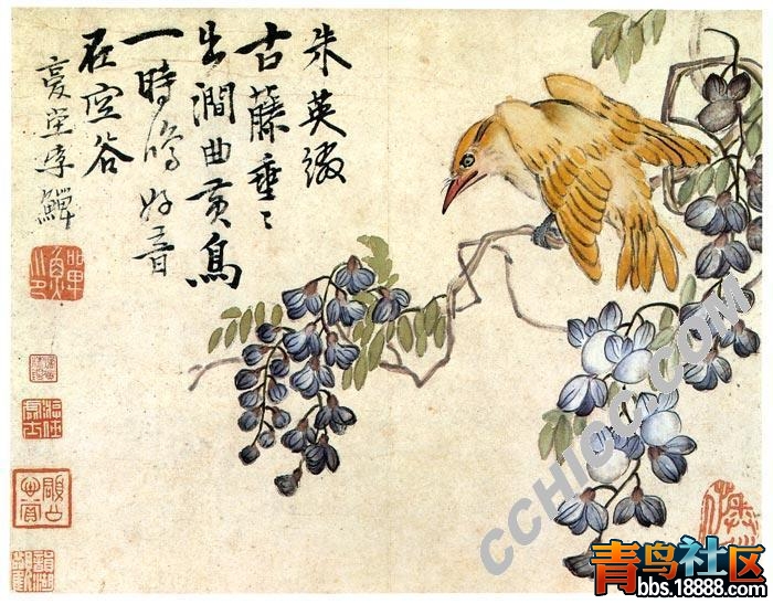 花鸟图.jpg