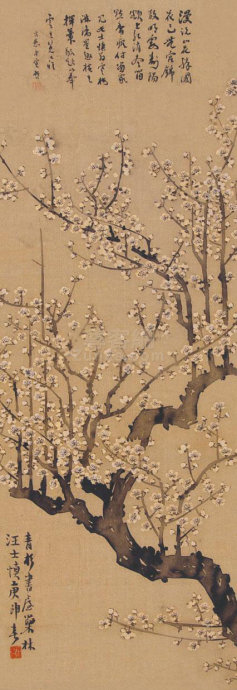 梅花图5.jpg