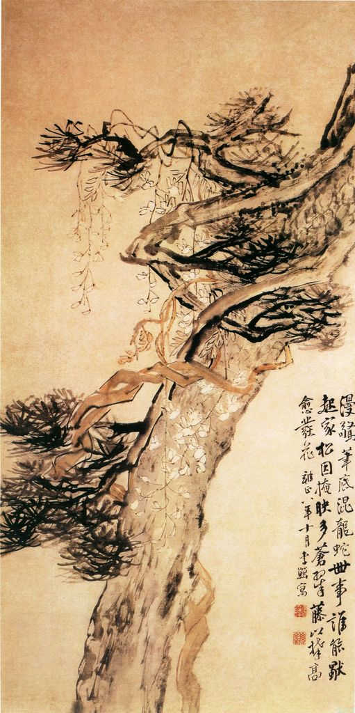 松藤图a.jpg