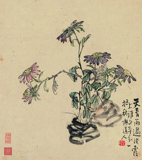 菊花图.jpg