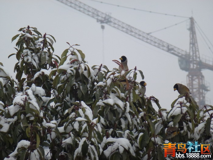 P1040532_缩小大小.JPG