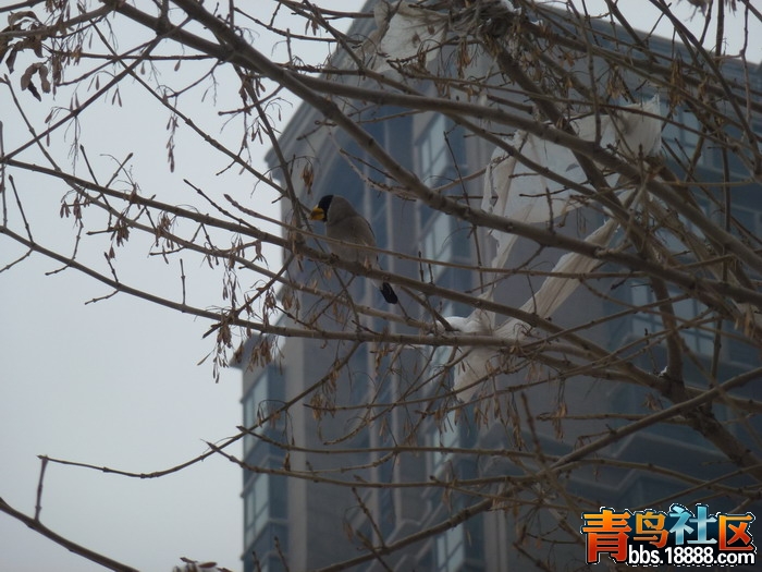 P1040565_缩小大小.JPG