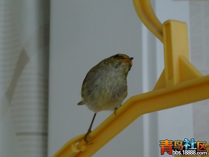 P1040689_缩小大小.jpg