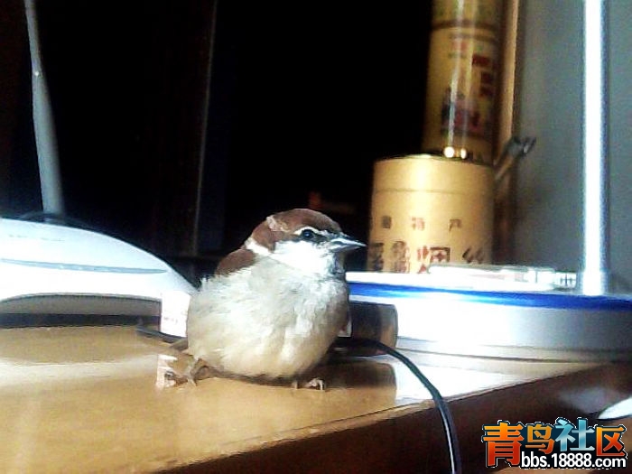图片 021.jpg
