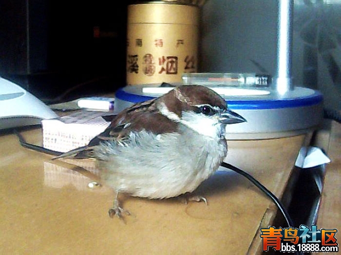 图片 024.jpg
