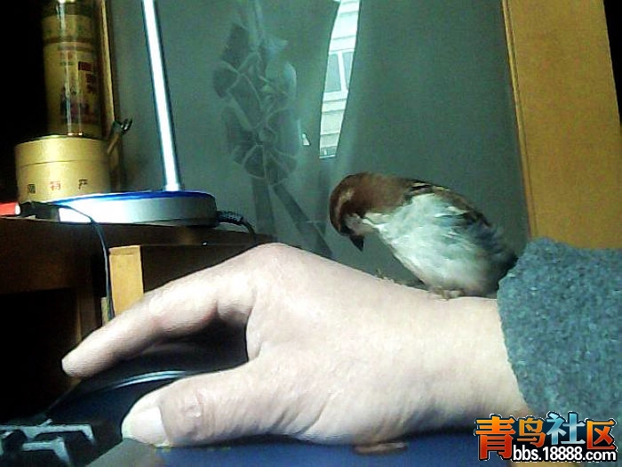 图片 012.jpg