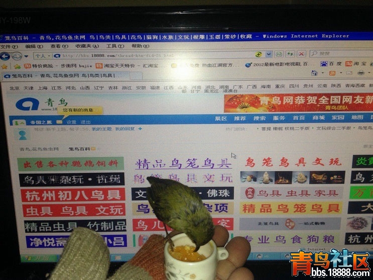 QQ图片20140212200835.jpg