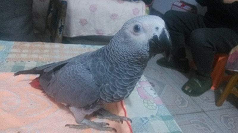 IMG_20140227_194208_副本.jpg