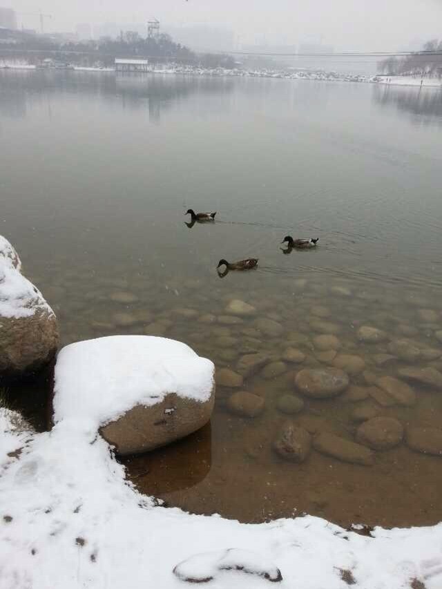 QQ图片20140207104222.jpg