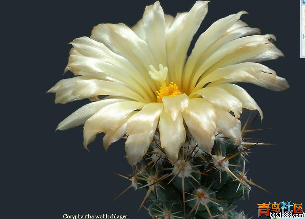 20110724_b68bfc872ec52debfedaUy0BzrTI08wD.jpg