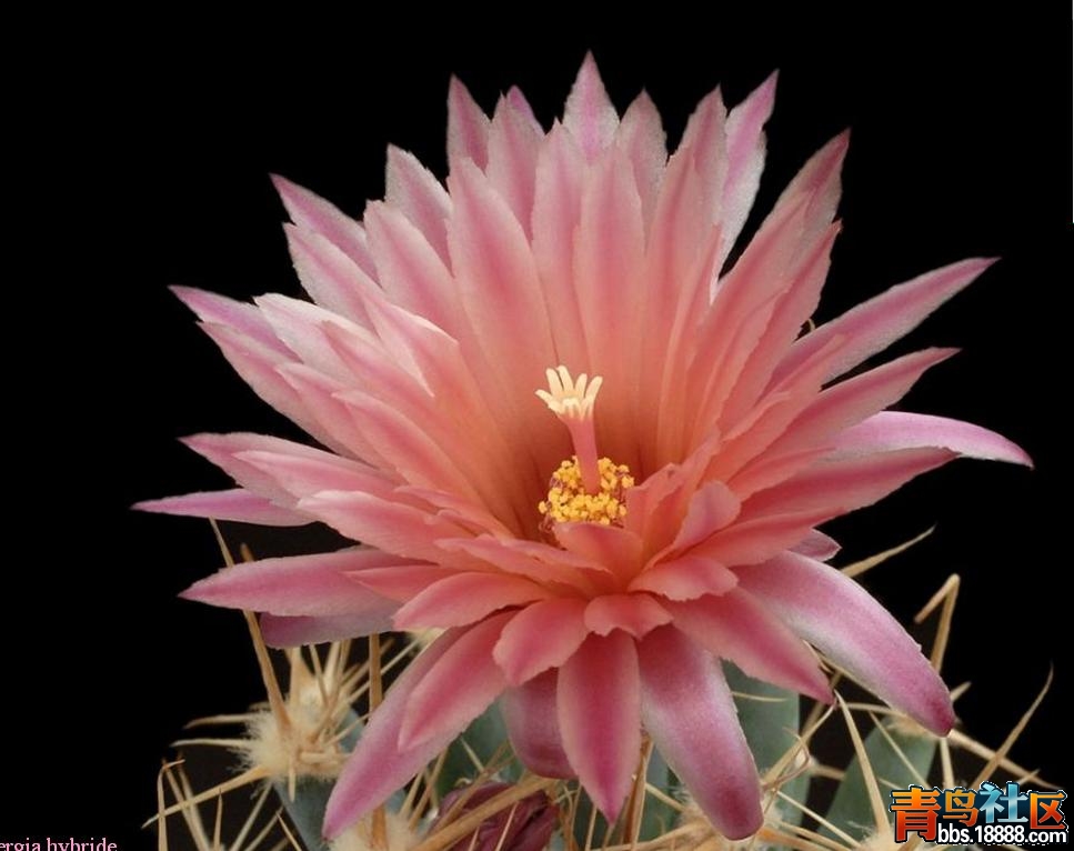 20110724_ebcb9740ce5ee33c0323JpctHttV5J7F.jpg