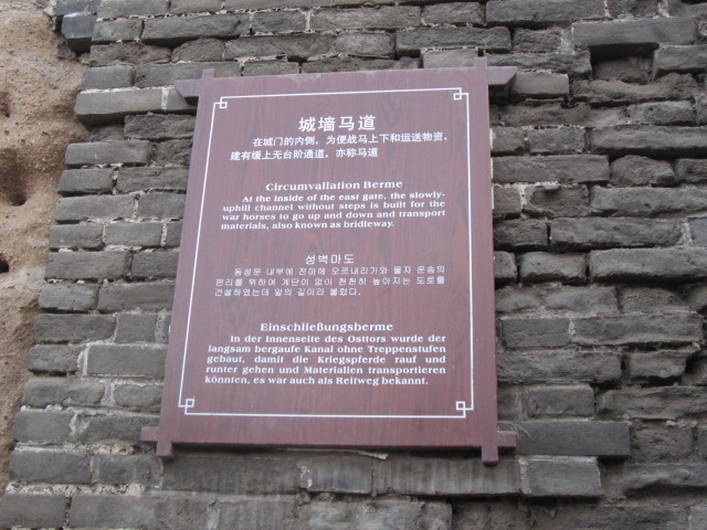 54.JPG