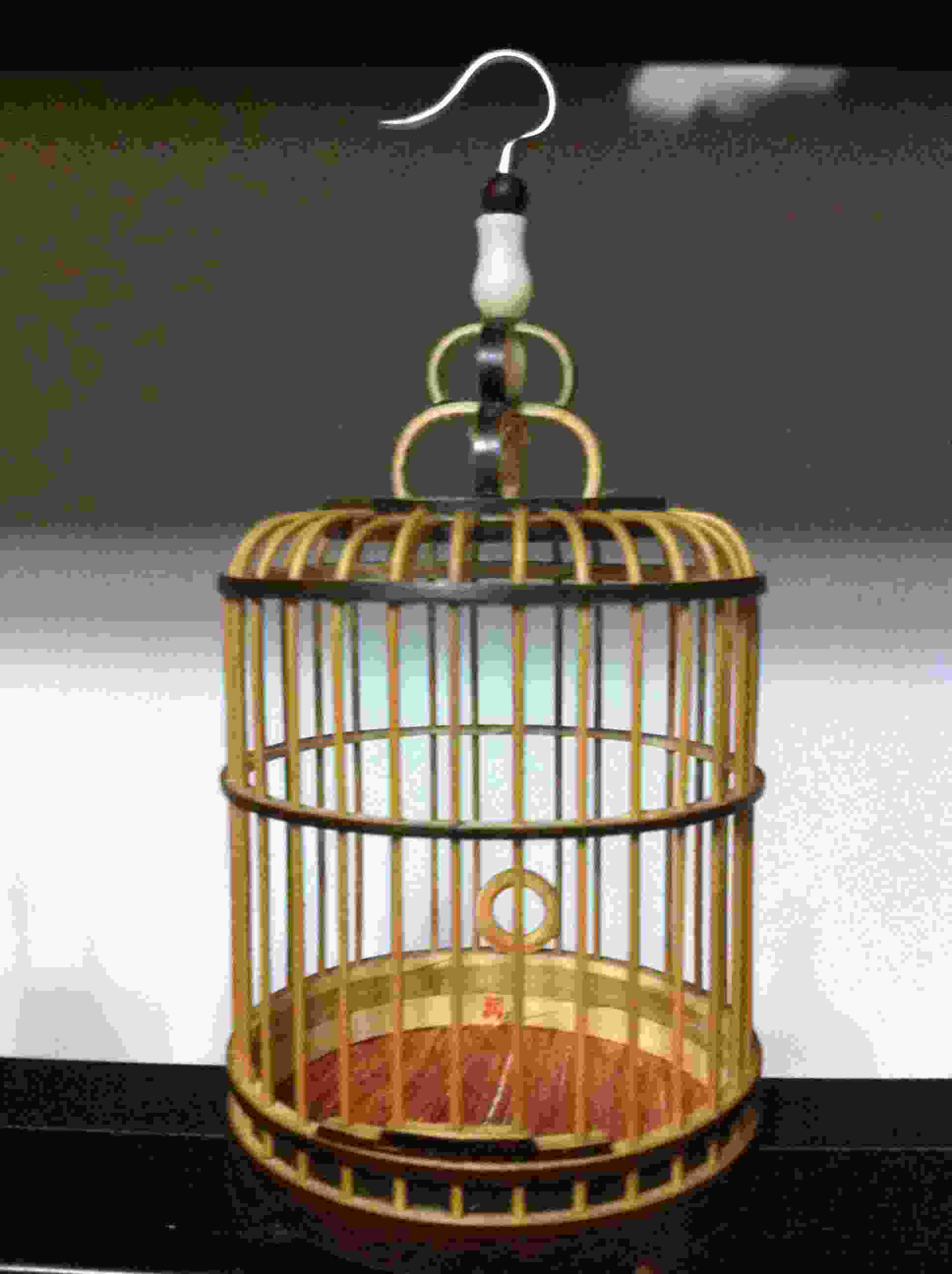 照片 353.jpg