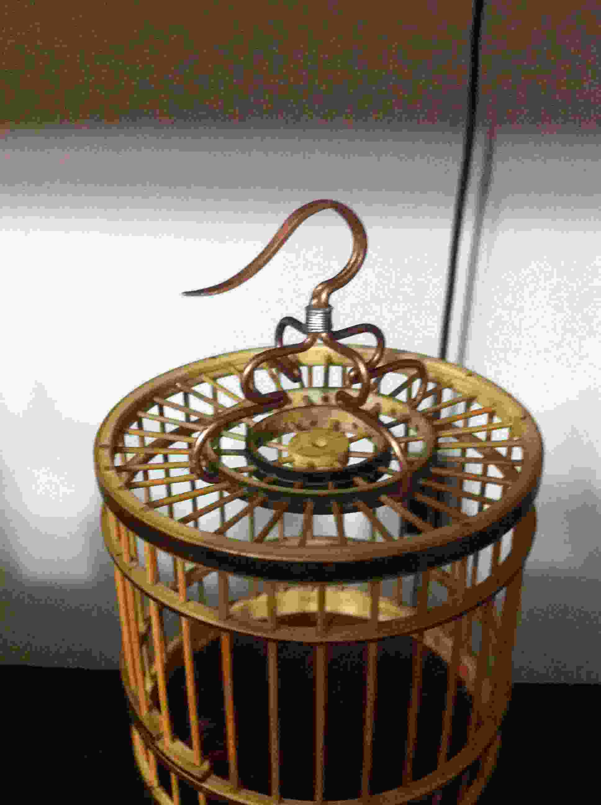 照片 355.jpg