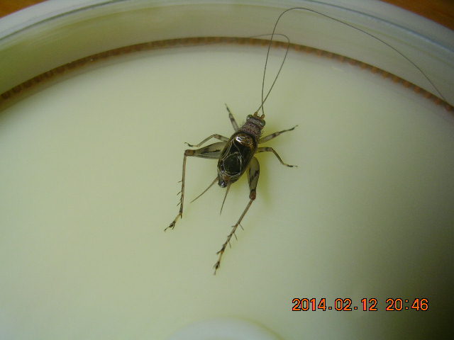 DSCN0053.JPG