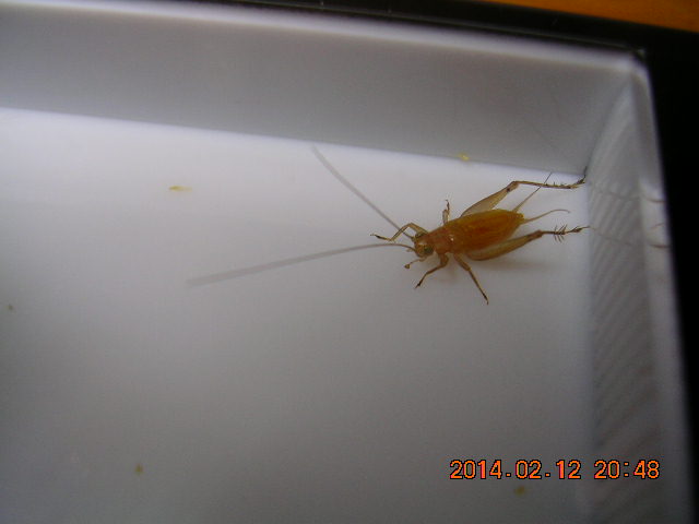 DSCN0059.JPG