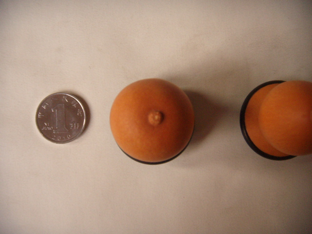 DSCN0522.JPG