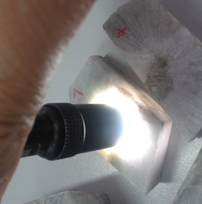QQ图片20140228165156.jpg