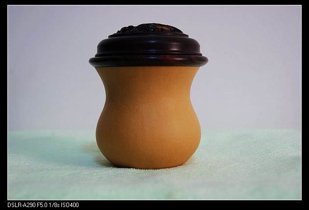 nEO_IMG_DSC03329.jpg