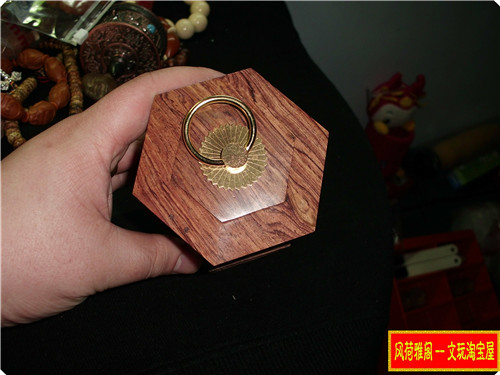 CIMG8748.JPG