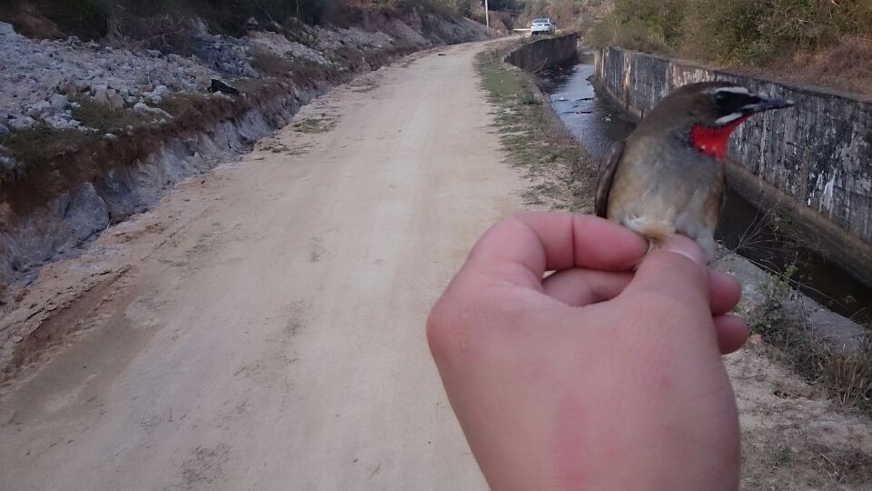 QQ图片20140225232750.jpg
