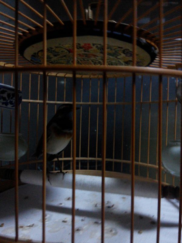 UC_Photo_004.jpg