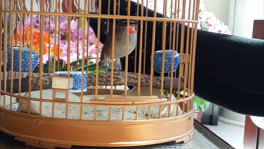 20140130_111214.jpg