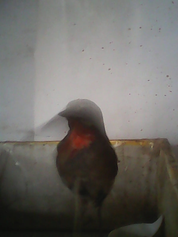 IMG_20140213_102255.jpg