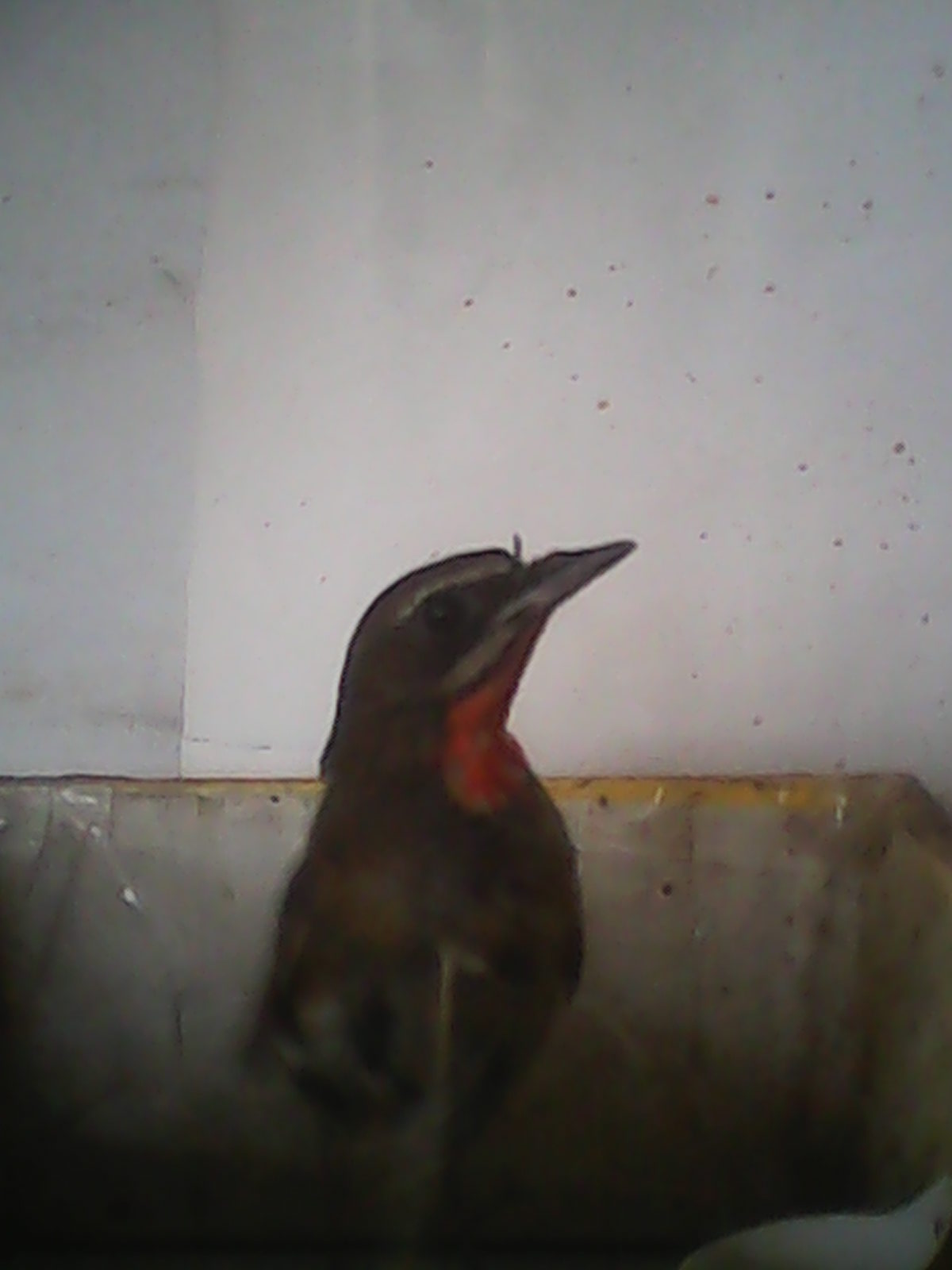 IMG_20140213_102243.jpg