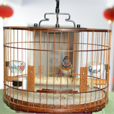 照片 038.jpg