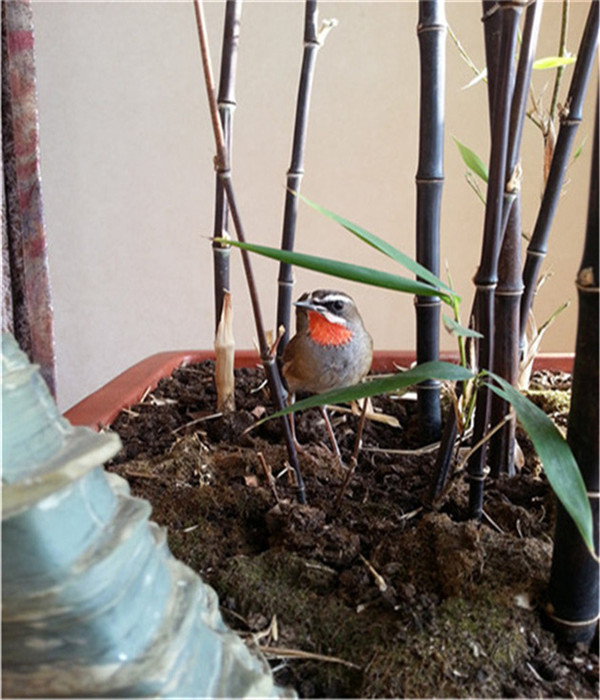 20140131_112418.jpg
