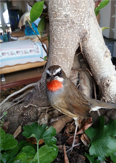 20140131_085727.jpg