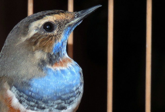 DSCN6392.JPG