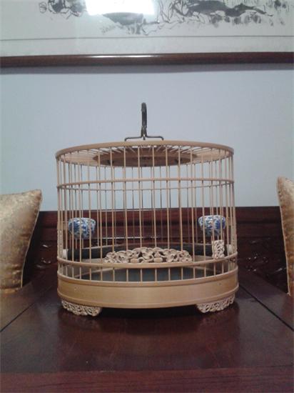 20140224_174907.jpg