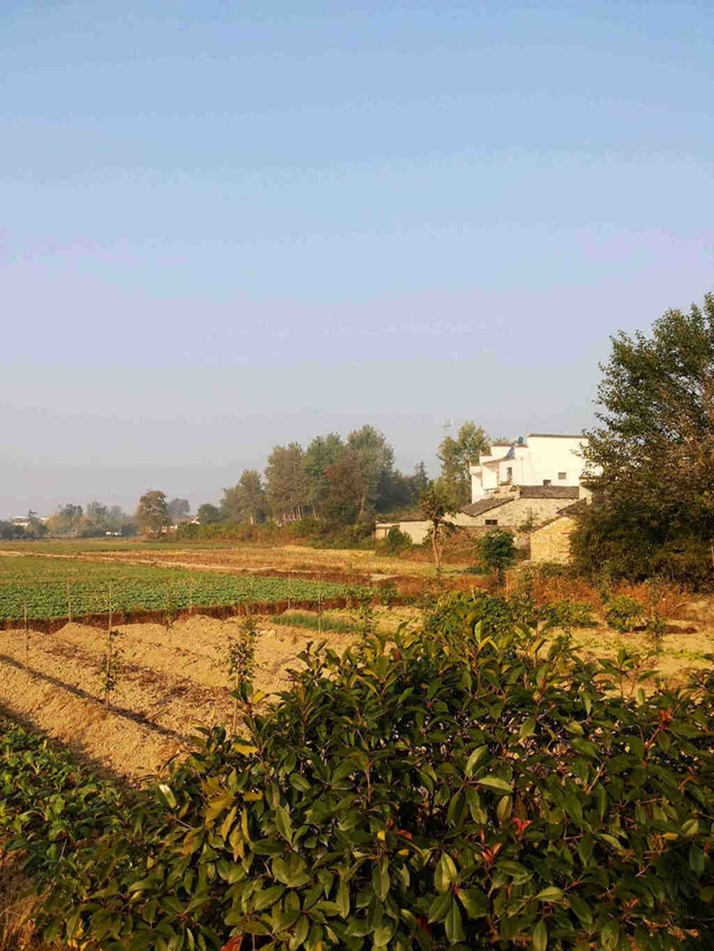 20131022_075349.jpg