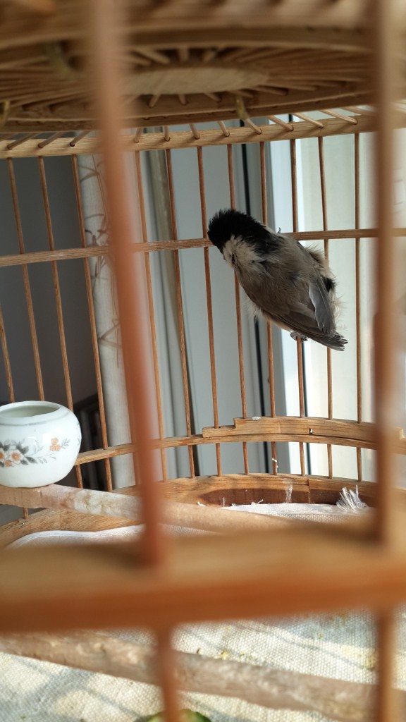 QQ图片20140205125219.jpg