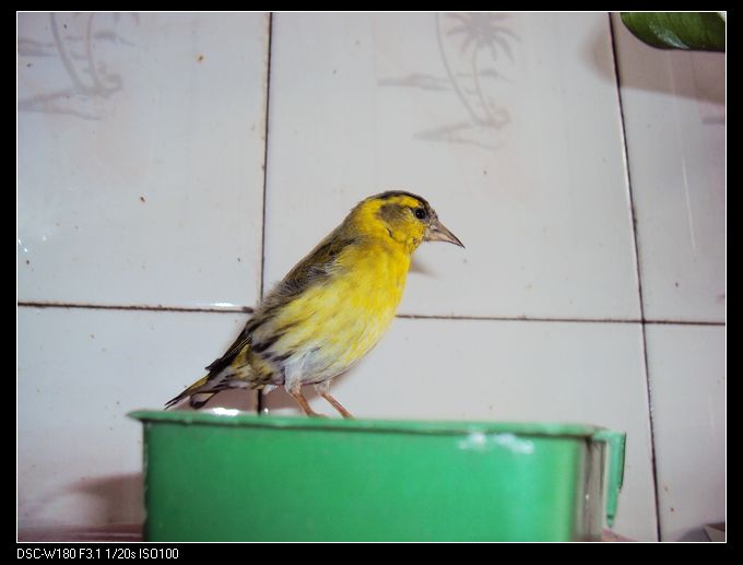 nEO_IMG_DSC01394.jpg