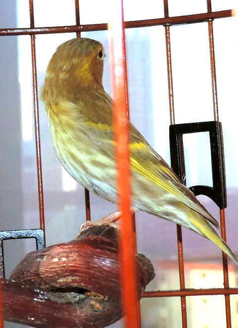 DSCN6709.JPG