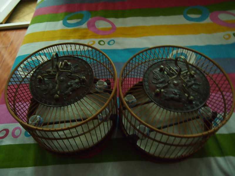 P2010548.JPG