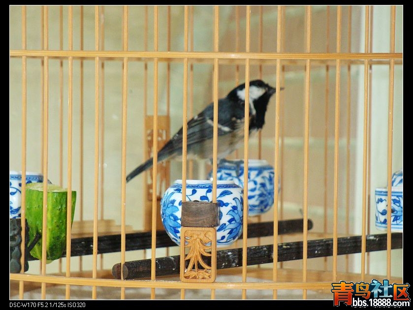 nEO_IMG_DSC02615.jpg