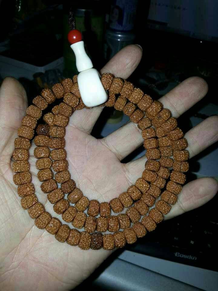 cccc.jpg