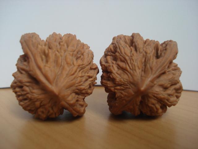 DSC06100.JPG