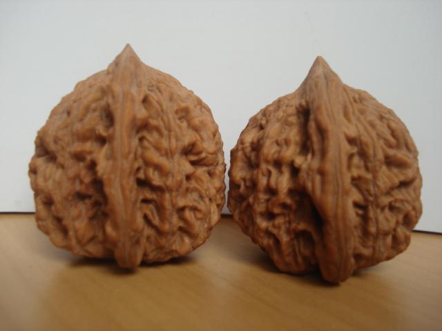 DSC06096.JPG