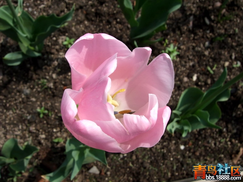 DSCF1418.jpg