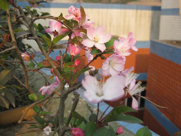 调整大小 IMG_6359.jpg