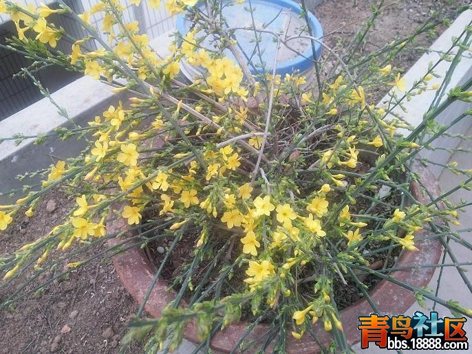 20140318_074439.jpg