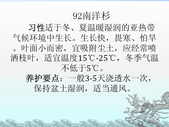 92.jpg
