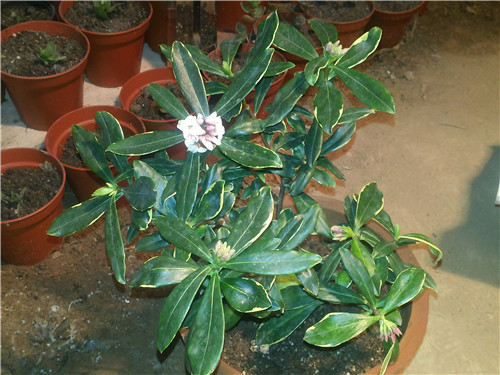 20140305_182536.jpg