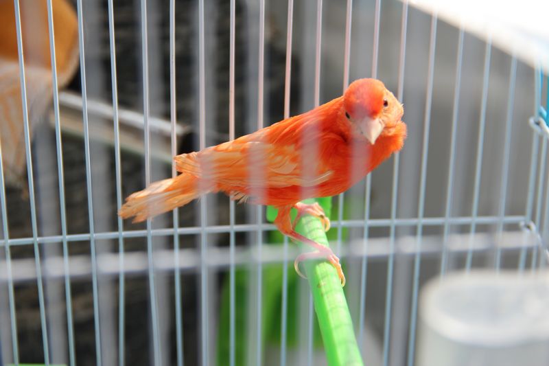 nEO_IMG_IMG_0103.jpg